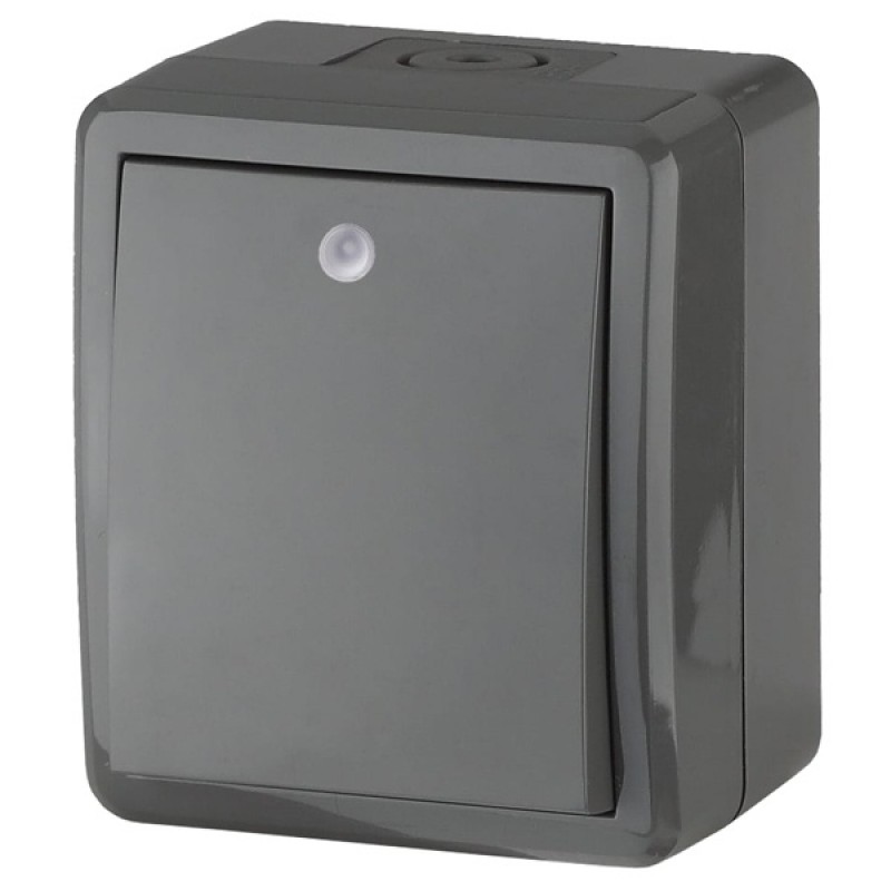 Выключатель с подсветкой IP54 10АХ-250В открытой установки Эра Эксперт, серый 11-1402-03