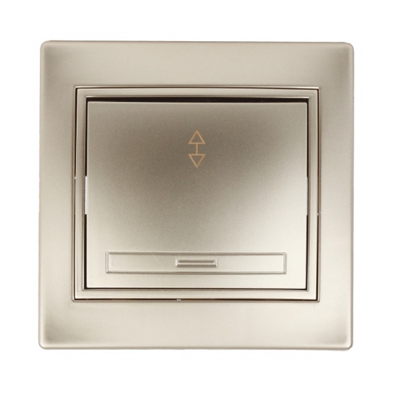 Переключатель 10А 250В  IP20 Intro Plano, шампань 1-103-04