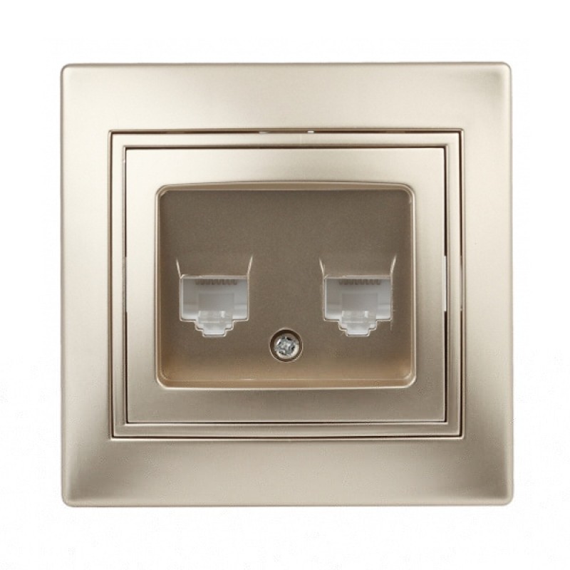 Розетка информационная 2хRJ45 IP20  Intro Plano, шампань 1-304-04