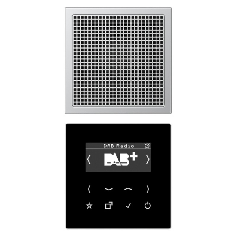 Цифровое радио DAB+/FM моно Jung LS черный/алюминий
