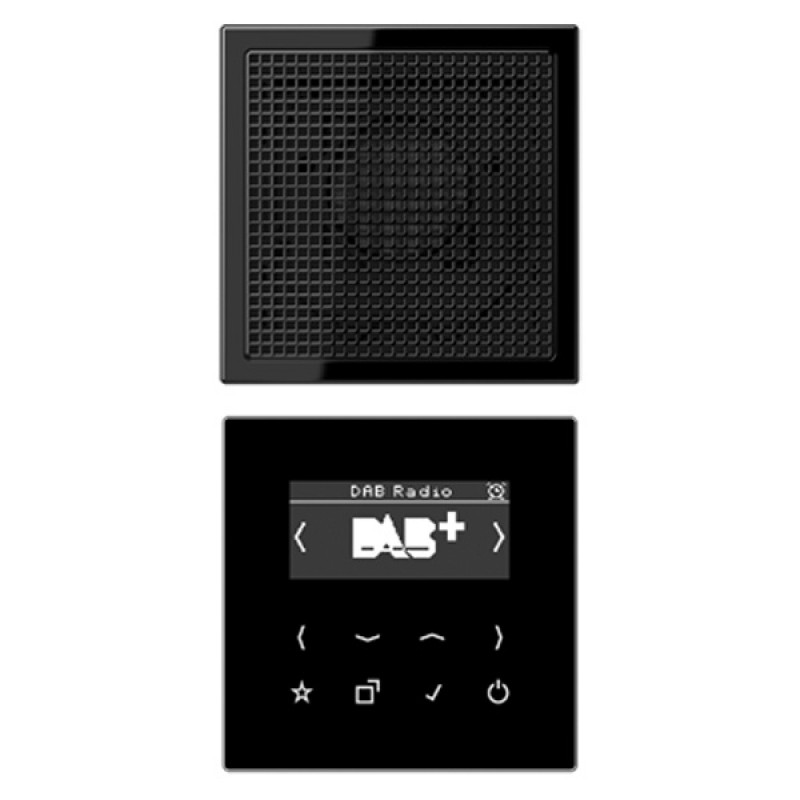 Цифровое радио DAB+/FM моно Jung LS черный/черный